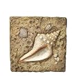 Conch Shell Stepping Stone and Wall Plaque