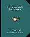 A New Model of the Universe