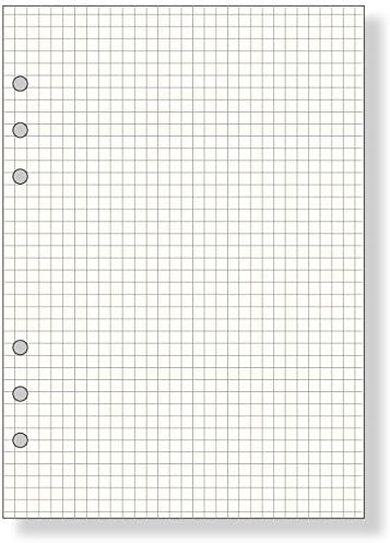Reimeifujii Da Vinci refill A5 5.0mm grid A5 size DAR282