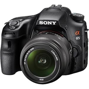 Best Price Sony Alpha SLT-A65V Sale