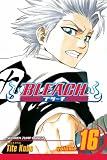 Bleach, Vol. 16: Night of Wijnruit