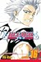 Bleach, Vol. 16
