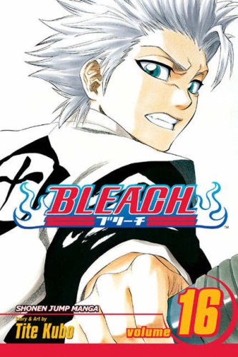 Bleach volume 16