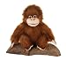 Plush Baby Orangutan 7