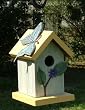 Butterfly and Leaves Handcrafted Hanging Wood Birdhouse, Made in the USA