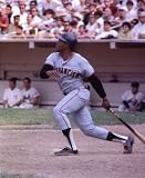 WILLIE MAYS SAN FRANCISCO GIANTS 8X10 SPORTS ACTION PHOTO (D)