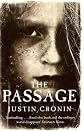 The Passage [Paperback]