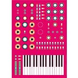 Minimoog Synthesizer Print by Dorian