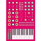 Minimoog Synthesizer Print by Dorian