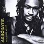 Absolute Value ~ Akrobatik