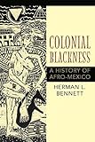 Colonial Blackness: A History of Afro-Mexico (Blacks in the Diaspora)