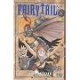Fairy Tail - Tome 8