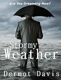 Stormy Weather: A Novel