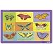 Crocodile Creek Placemat Butterflies