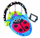 Sassy Stim Gym Play Mat
