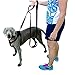 Sturdy Dog Leash 2 Handles 4 ft - Dual Tough Lead - Padded Handles Heavy Duty High Safety Greater Control - the Mimibox Training Leash Black for Medium to Large Dogs
