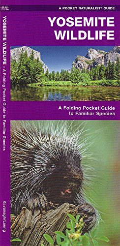 Yosemite Wildlife: A Folding Pocket Guide to Familiar Species (Pocket Naturalist Guide Series)