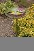 Finches on Coneflower Glass Birdbath