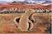 Who Wants to be a Prairie Dog? (Navajo Fairy Tales)