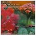 Mahler: Symphony No.1 In D