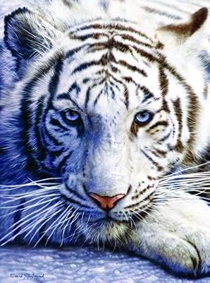 White Tiger Face 1000pc Jigsaw Puzzle by David Penfound