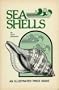 Sea Shells