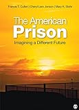 The American prison : imagining a different future