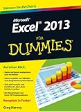 Microsoft Excel 2013 für Dummies