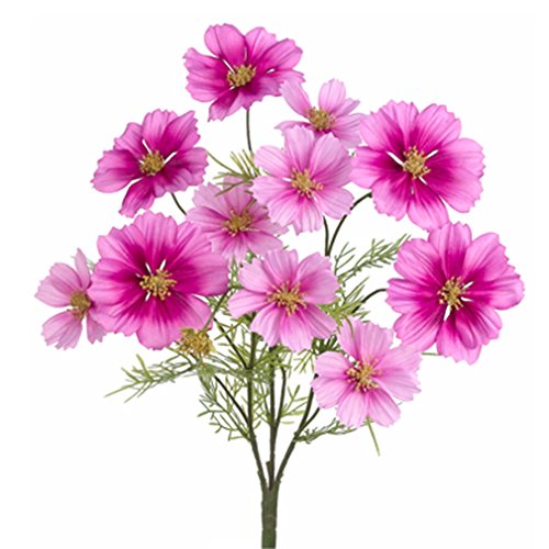 20 Silk Cosmos Flower Bush Lilac (pack of 12) !! NorrisFLolago