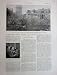 Buenos Aires New Regime Argentine Place De Mai 1930