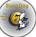 Karaoke Hits - Best of Broadway Vol. 2