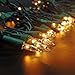 Zitrades Christmas Lights 100 Count Clear Bulbs Mini String Lights Set for Seasonal Decorative Christmas Holiday Wedding Parties Halloween with Warm White Indoor Outdoor Lighting Green Wire