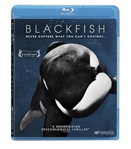 Amazon.com: Blackfish [Blu-ray]: Tilikum, Gabr