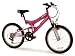Universal Genie 20 6 Speed Girls Mountain Bike
