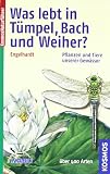 Was lebt in T�mpel, Bach und Weiher?: Pflanzen und Tiere unserer Gew�sser. Eine Einf�hrung in die Lehre vom Leben der Binnengew�sser