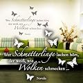 Wandkings Wandtattoo "Wer Schmetterlinge lachen h�rt, der wei�, wie Wolken schmecken ... (Novalis)" 50 x 34 cm wei� - erh�ltlich in 33 Farben