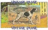 2.75 inch x 2 inch (7.5 x 5cm) Acrylic Fridge Magnet Dogs Champion Antonio Vintage Image
