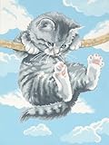Dimensions Needlecrafts Paintworks Paint By Number, Hang On Kitty