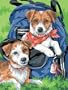 Dimensions Needlecrafts Paintworks Paint By Number, Back Pack Buddies