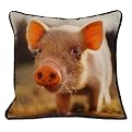 Pig Decorative Pillow