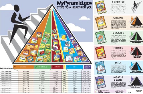 51vkzSlmjvL Educational Card Games 0084 LARGE MyPyramid Poster Laminated