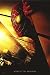 Search : Spider-Man Original WTC 2-Sided Movie Poster