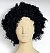 Rubie's Costume Co Humor S Mid Length Afro Black Wig