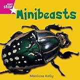 Minibeasts