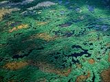 Aerial View of Wetlands, Everglades National Park, USA Lonely Planet Collection Photographic Poster Print by Jim Wark, 24x18