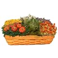 Culinary Herb TT Basket - 13"