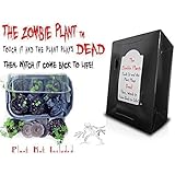 ZOMBIE PLANT GROW KIT- (Touch It and It PLAYS DEAD!) Unique Nature Kit- Grow a Fun Interactive House Plant that Plays DEAD when Touched & Comes back to life in Minutes! Amazing Gift!