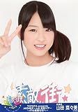 AKB48 公式生写真 TOYOTA presents 全国ツアー 会場特典 【山田菜々美】