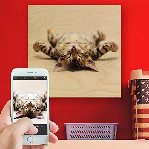 Print Your Beloved Pet Photo On Wood, Custom Pet Photo Prints On Wood. Special promotion for limited time ** free shipping on orders above $49 and ** $10 discount on all of our products