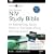Zondervan NIV Study Bible for Windows 6.0: New International Version / Updated Edition